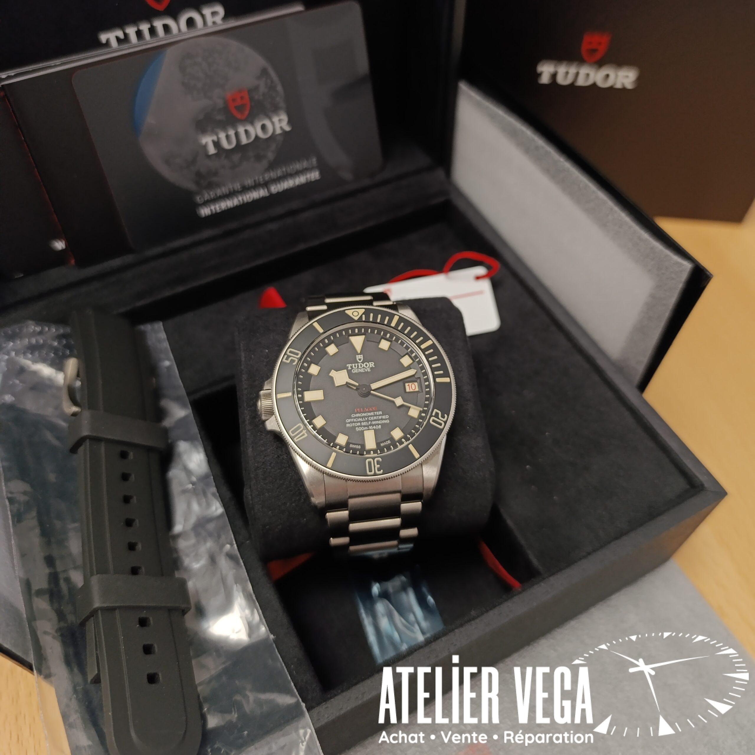 Tudor Pelagos LHD 25610TNL de 2023 – Image 9