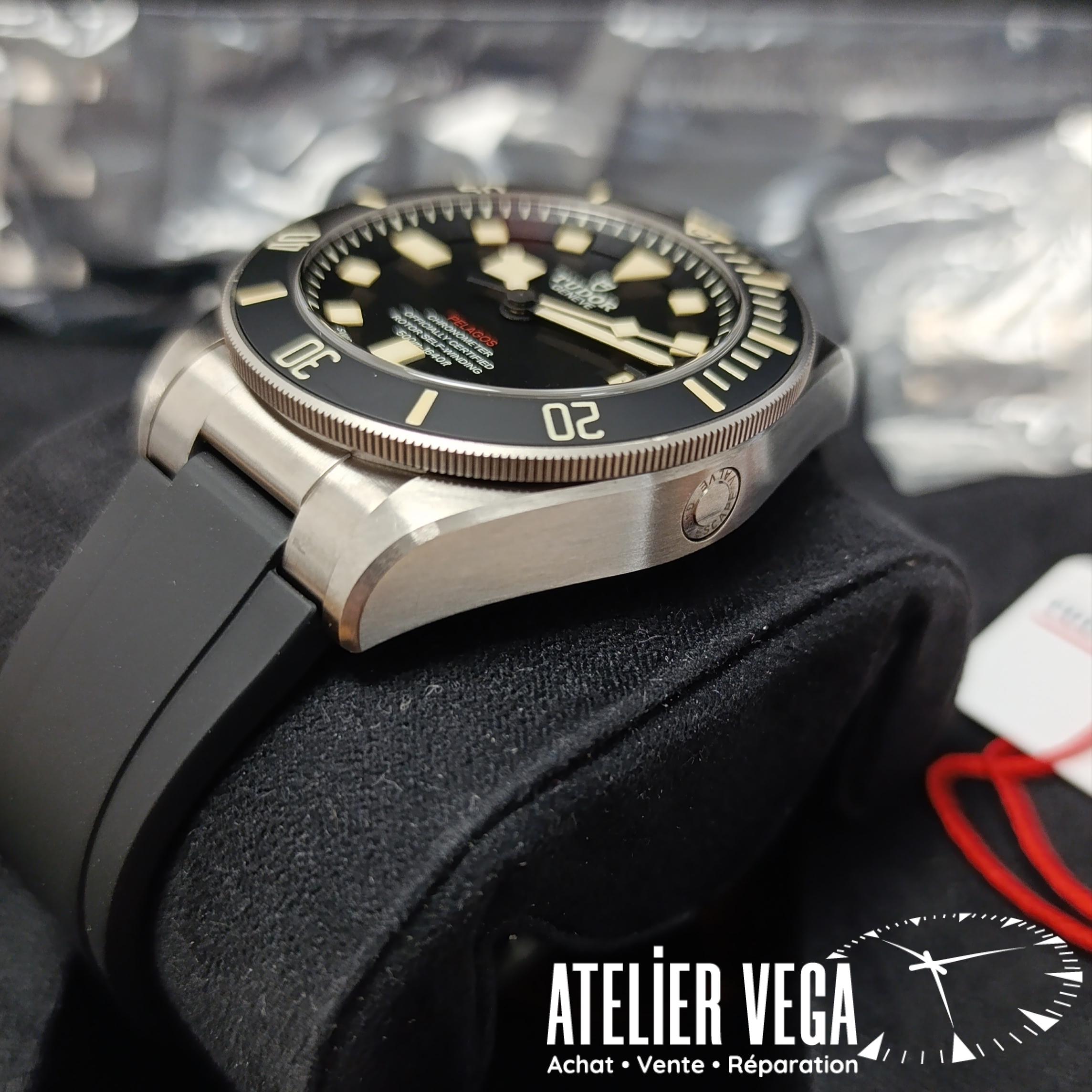 Tudor Pelagos LHD 25610TNL de 2023 – Image 5